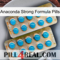 Anaconda Strong Formula Pills new08